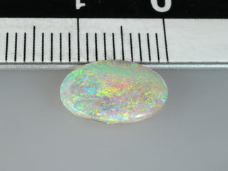 Australian Clear Opal